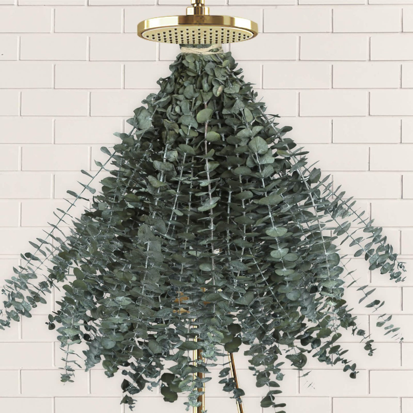 11 piezas de tallo de eucalipto seco real para decoración de ducha y baño, hojas de eucalipto frescas naturales grandes de 17 pulgadas, plantas colgantes, artículos de ducha, decoración de jarrón