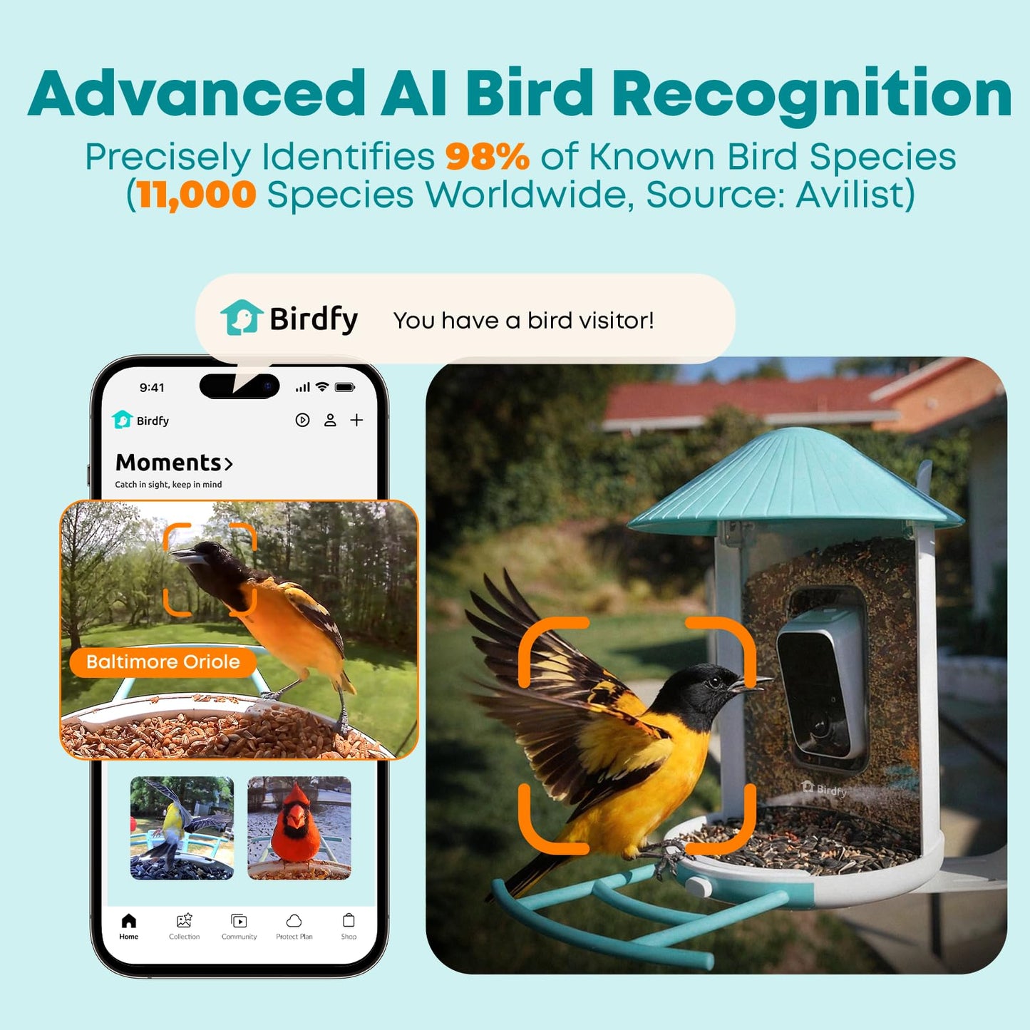 NETVUE by Birdfy Smart Bird Feeder with 2K HD AI Camera Solar Powered, Wireless Wildbird Watching, Live Stream&Color Night Vision, Auto-Capture & Notify, Free Cloud Storage(AI by Subscription)
