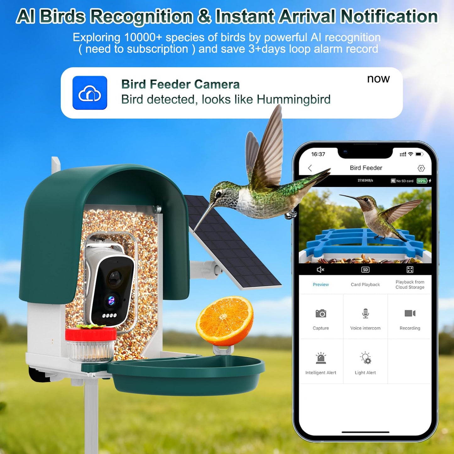 Smart Bird Feeder with Camera Solar Powered, AI Bird Identification for 10000+ Species, 4K HD Live Video & Instant Alerts, USB Charging, 2.4GHz WiFi Bird House, IPX7 Waterproof for Garden (Green)