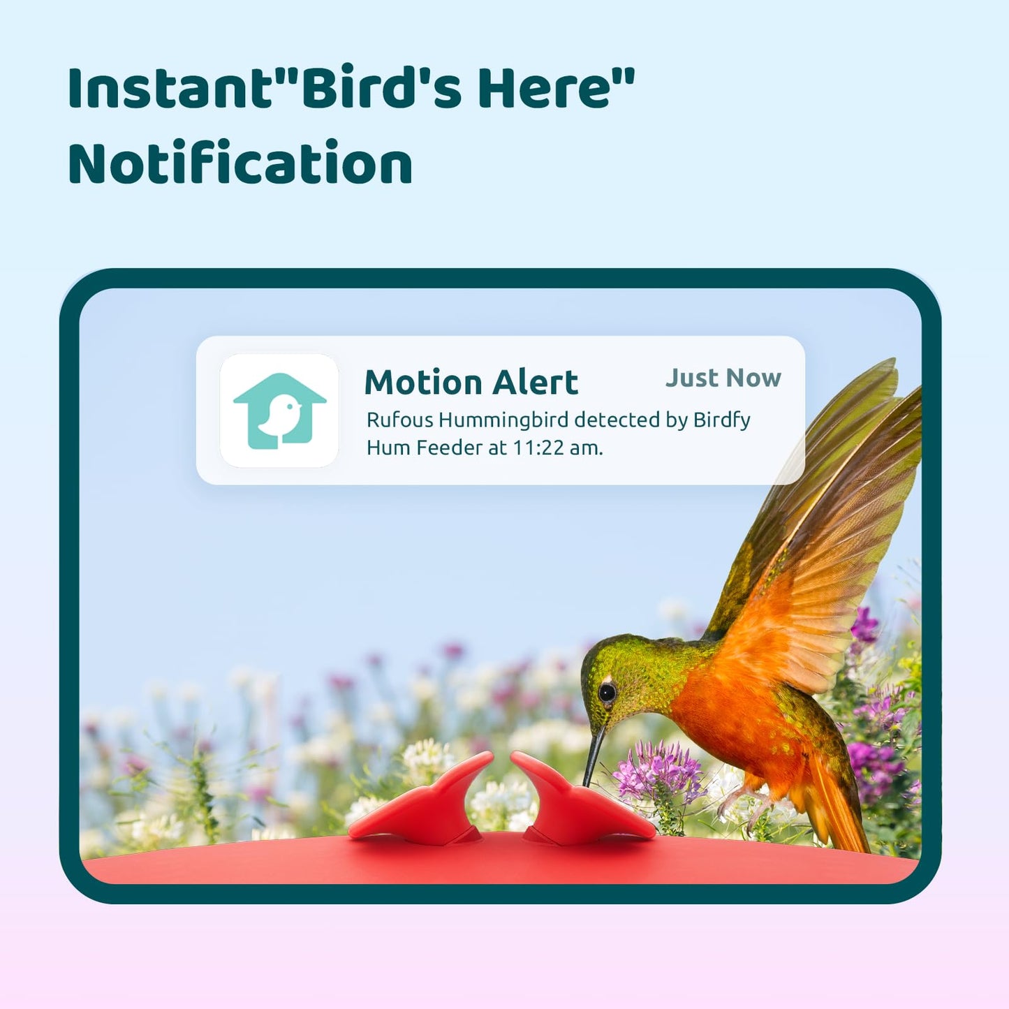 Birdfy Smart Hummingbird Feeder with Camera for Outdoor Hanging, Wireless Bird Watching Camera Auto-Capture Motion Video & Send Instant Alerts, Battery-Powered, Ant and Bee Proof, Leak-Proof, 14 Oz