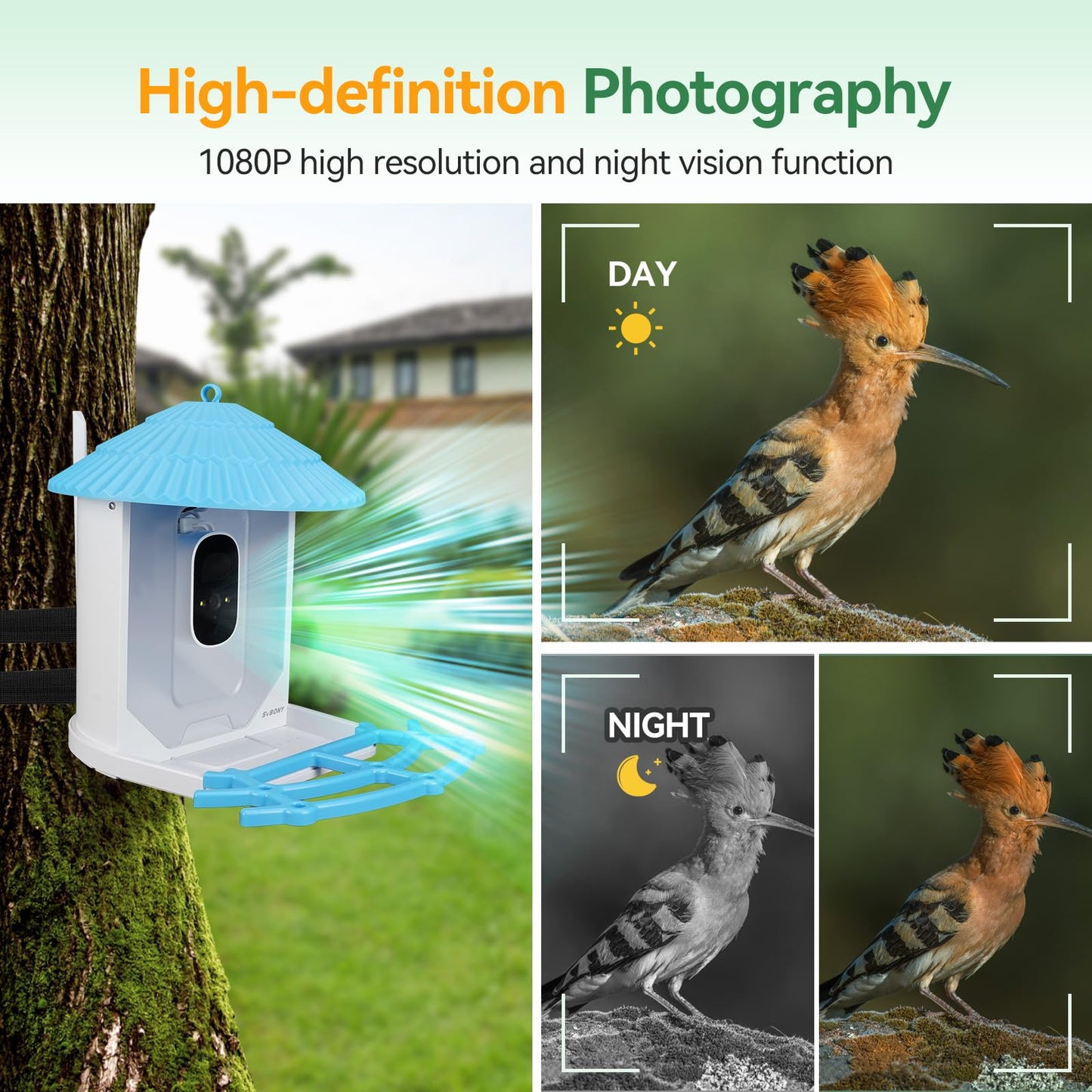 SVBONY SC101 Smart Bird Feeder with HD Camera, AI Bird Identification,High Resolution, Live Stream via WiFi, Auto Capture Videos,Weatherproof, Outdoor Backyard Feeder