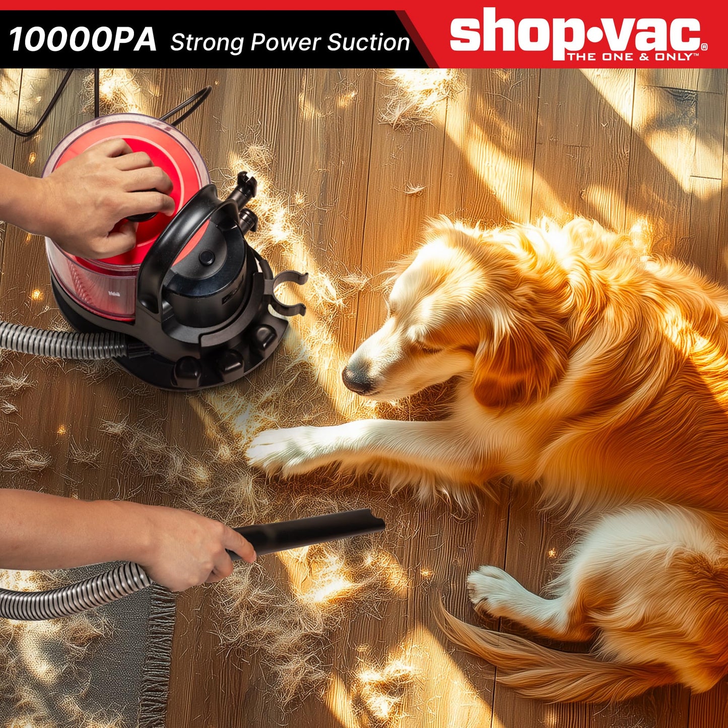 Shop-Vac 4-in-1 Pet Grooming & Vacuum, Dog Grooming Vacuum for Shedding, Professional Clippers, Brushes & Crevice Tool, 10,000Pa Suction, 3.3L Dust Cup, for Pet Shedding, Trimming, and Cleaning