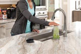 Delta Faucet Glass Rinser for Kitchen Sinks, Kitchen Sink Accessories, Bar Glass Rinser, SpotShield Stainless GR150-SP