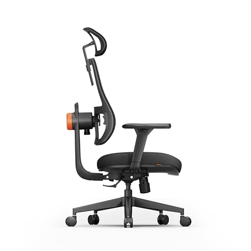 Newtral Ergonomic Home Office Chair, High Back Desk Chair with Unique Adaptive Lumbar Support, Adjustable Headrest, Seat Depth Adjustment, 96°-126° Tilt Function, Adjustable Armrest Recliner