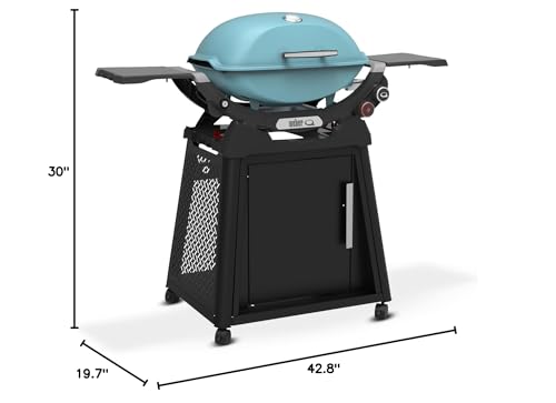 Weber Q 2800N+ Liquid Propane Grill with Stand, Sky Blue – Wide 250°–700°F Temp Range with Plus Burner for Searing, Low‑Temp Roasting & High-Dome Lid