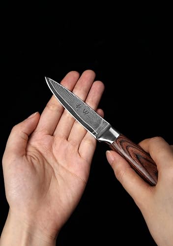 Wakoli EDIB 4-Piece Damascus Knife Set – Professional Chef Knives Set with VG10 Core Blades, 67-Layer Damascus Steel and Ergonomic Pakkawood Handles – Premium Kitchen Knives in Elegant Gift Box