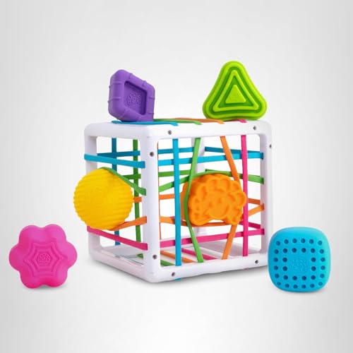Fat Brain Toys InnyBin Shape Learning Toys, Sensory Toys for Babies and Toddlers, Baby Toys Ages 10 Months+