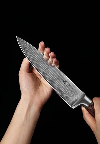 Wakoli EDIB 5-Piece Damascus Knife Set, Professional Kitchen Knives made of 67-Layer Damascus Steel with VG10 Core Blades, Ergonomic Pakkawood Handles, In Wooden Gift Box
