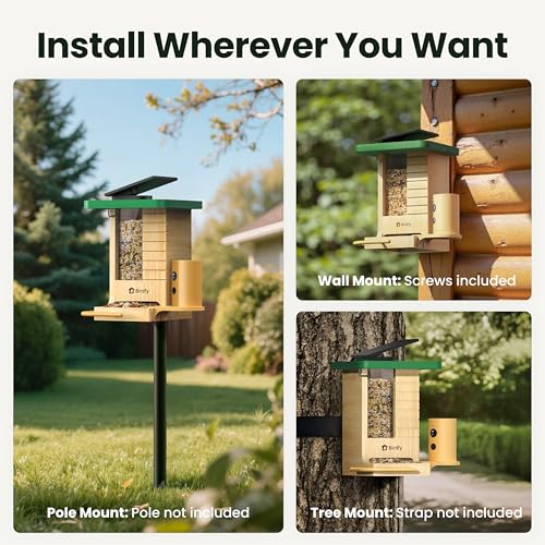Birdfy Smart Bird Feeder with Camera Solar Powered, Slow-Motion Video & Night Insight, AI Identify 6000+ Species Lifetime Free, Ideal for Outdoors Bird Watching & Gifts for BirdLovers, Wood