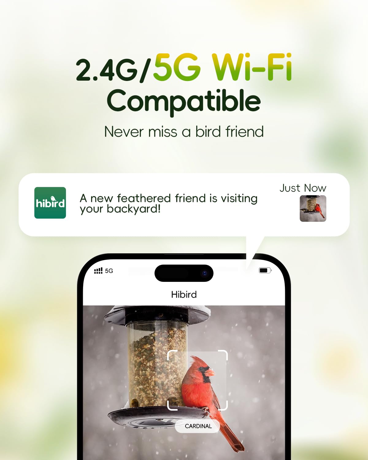 Hibird 4K HD Smart Bird Feeder Camera, 2.4G/5G Dual WiFi Wireless Outdoor, 6X Slow Motion Auto Bird Video Capture, Instant Notifications, AI Identify 10000+ Species for Everyone