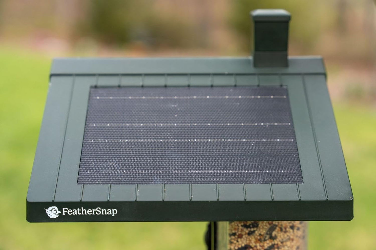 Feathersnap Smart Birdfeeder with AI Identification and Wi-Fi Solar Powered, Captures HD Pictures and Videos Sent Directly to Your Phone (Bird Feeder & Pole)
