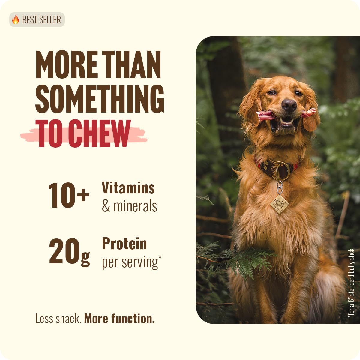 Natural Farm Bully Sticks, Odor-Free (12 Inch, 5 Count), 8.8 Oz. Per Bag, 100% Beef Chews, Grass-Fed, Non-GMO, Fully Digestible Dental Treats to Keep Your Small and Medium Dogs Busy and Happy