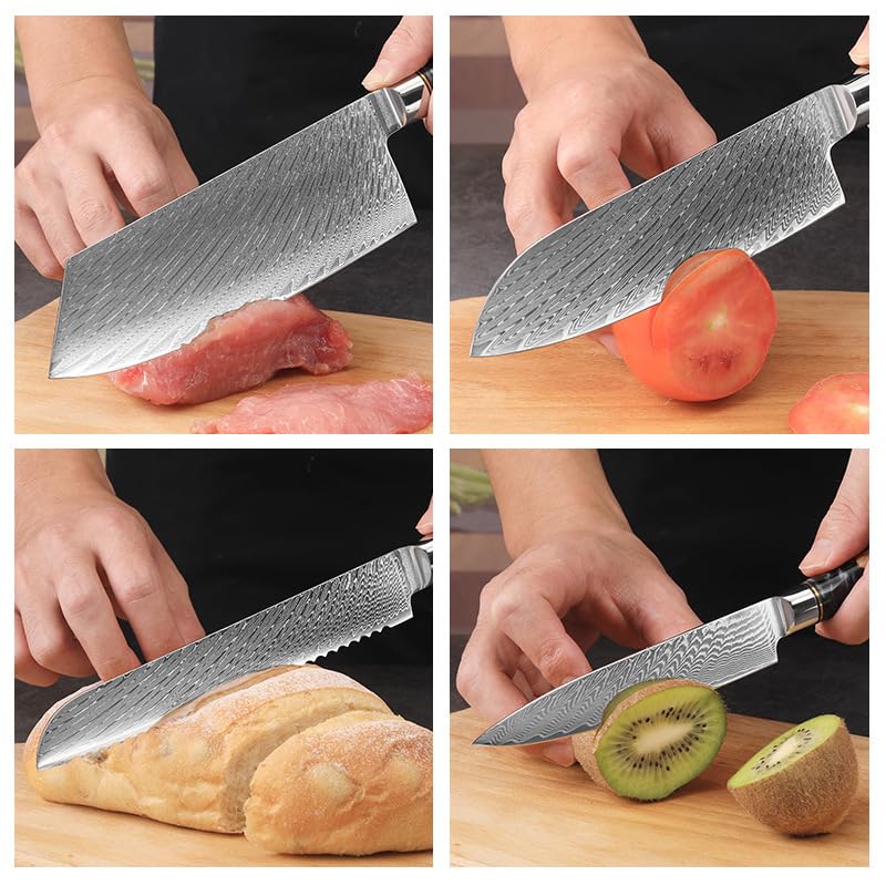 9 PCS Damascus Kitchen Knife Set - 67-Layer High-Carbon Damascus Steel, Pro Chef/Slicing/Utility/Paring Knives & Sharp Cleaver, Ergonomic Rosewood Handles, Ideal for Home/Pro Cooks (Black 9J)