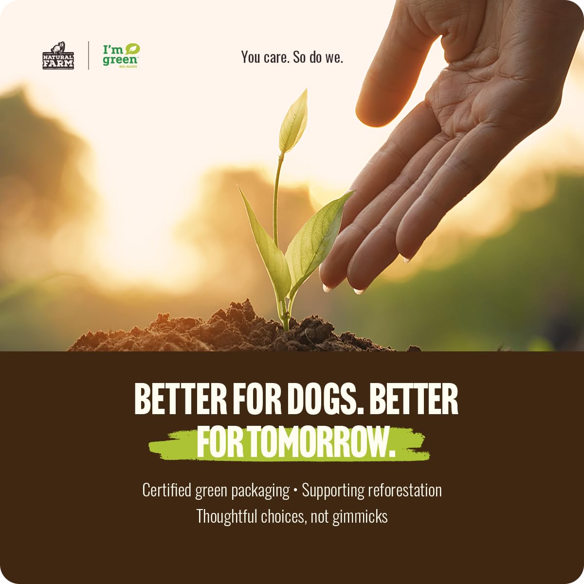 Natural Farm Bully Sticks, Odor-Free (12 Inch, 5 Count), 8.8 Oz. Per Bag, 100% Beef Chews, Grass-Fed, Non-GMO, Fully Digestible Dental Treats to Keep Your Small and Medium Dogs Busy and Happy