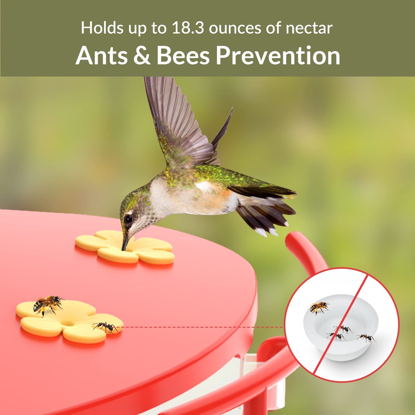 NETVUE by Birdfy Smart Bird Feeder with Camera with Hummingbird Feeder Perch, Attracting More Bird Species
