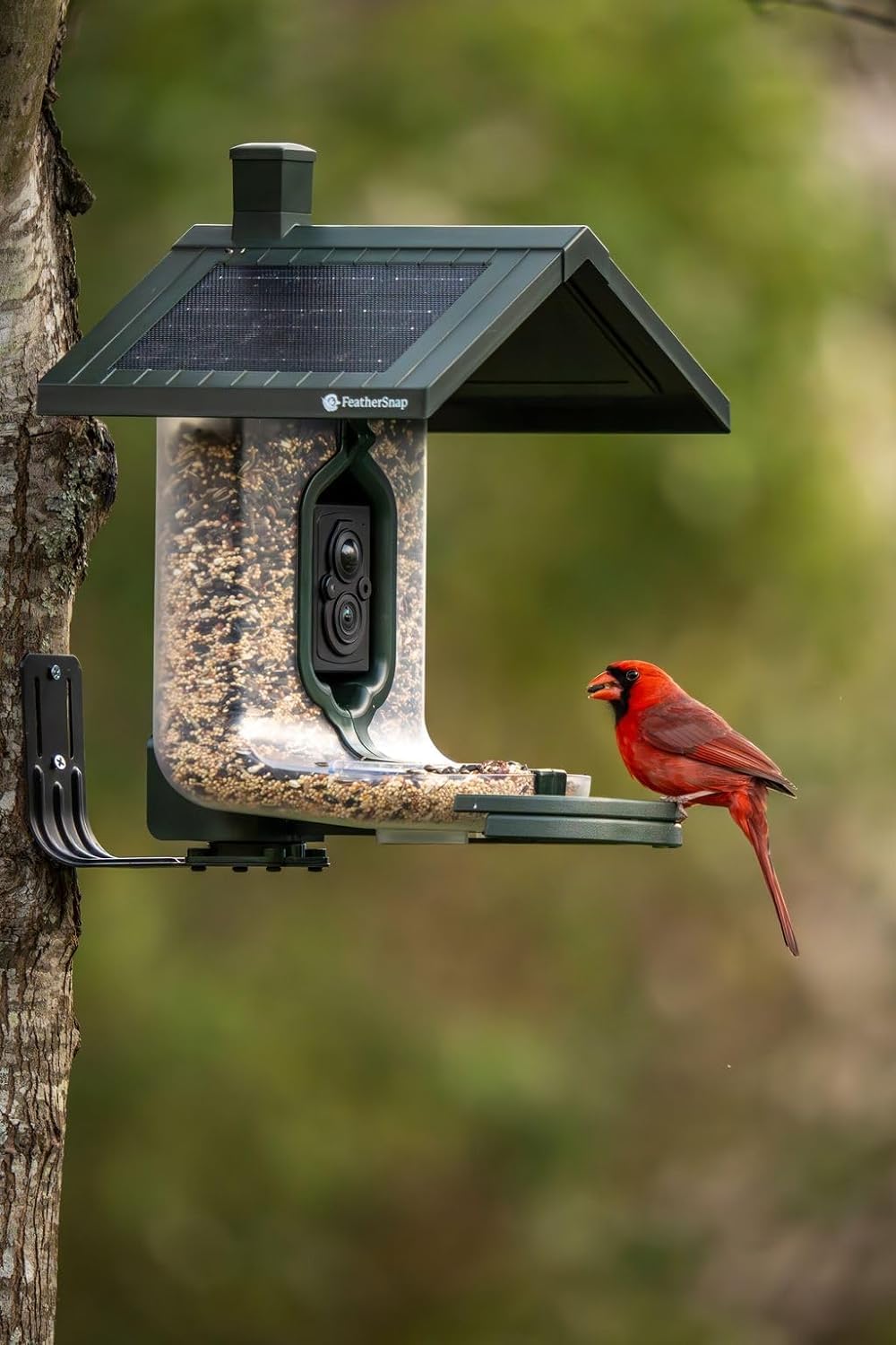 Feathersnap Smart Birdfeeder with AI Identification and Wi-Fi Solar Powered, Captures HD Pictures and Videos Sent Directly to Your Phone (Bird Feeder & Pole)