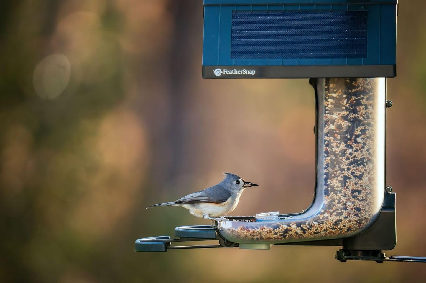 Bird Feeder with Camera with AI Identify Birds Species Solar Panel, Smart Bird House with Cam, 2K Live View, Instant Arrival Alerts, Dual Feeder, Includes Pole Stand