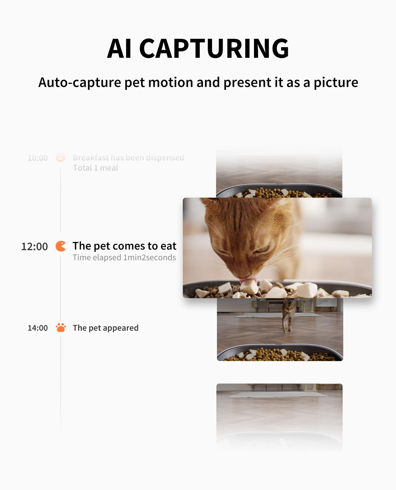 PETKIT Automatic Cat Dog Feeder with Camera, AI-Powered Motion Capturing, 1080P HD Video with Night Vision, 2.4G WiFi Pet Feeder with 2-Way Audio, Dual Hopper Pet Food Dispenser with Desiccant