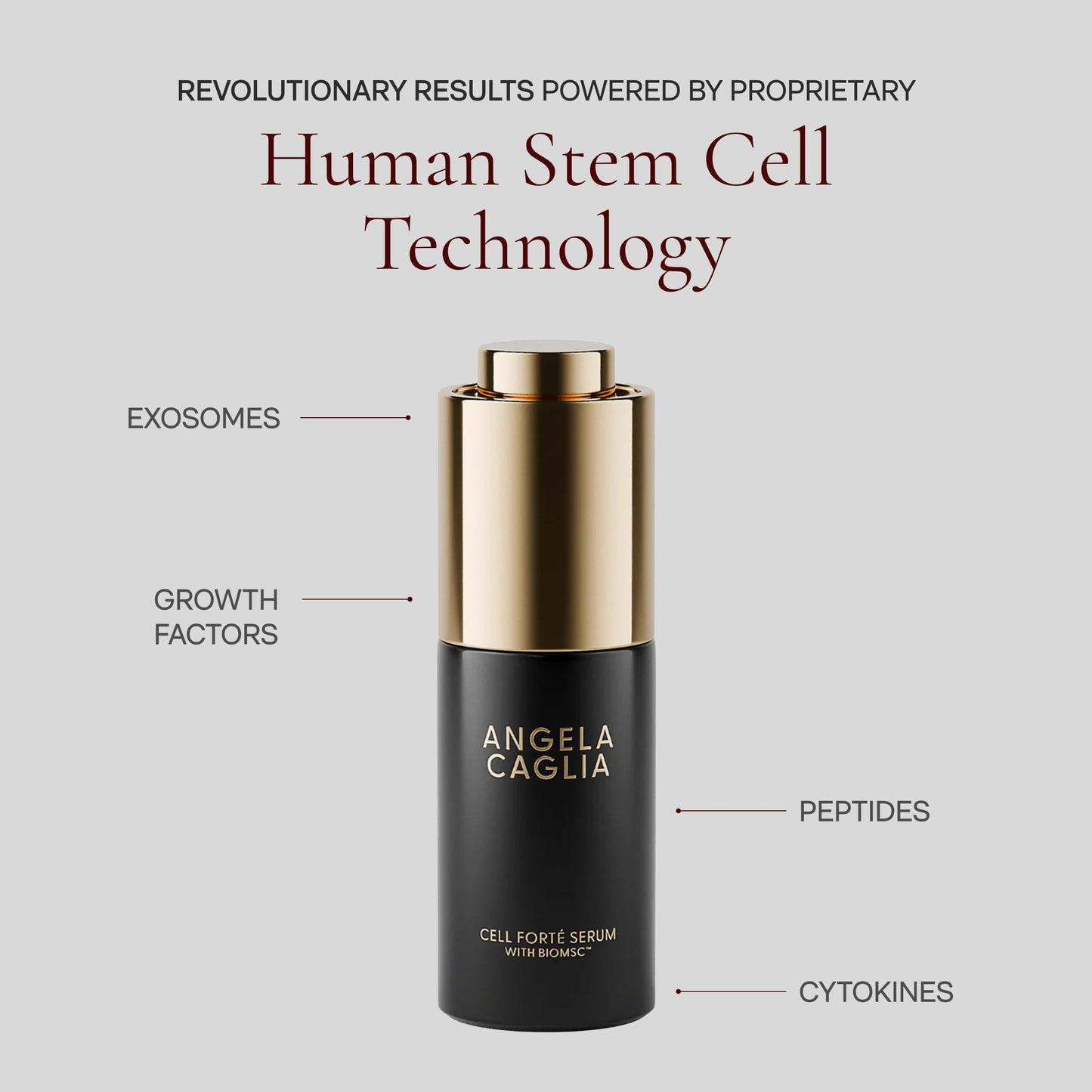 Cell Forté Serum | Billions of Human Stem Cell-derived Exosomes, Growth Factors, and Peptides with Hyaluronic Acid - Reduces Sun Damage & Hyperpigmentation - 4 in 1 Formula