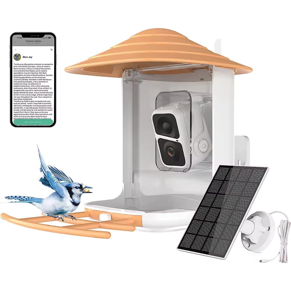 PAXI DAYA Solar Powered AI Window Bird Feeder with 2MP Camera Weatherproof Smart Outdoor Decor Metal Feeder for Birds Pack of 1 Orange