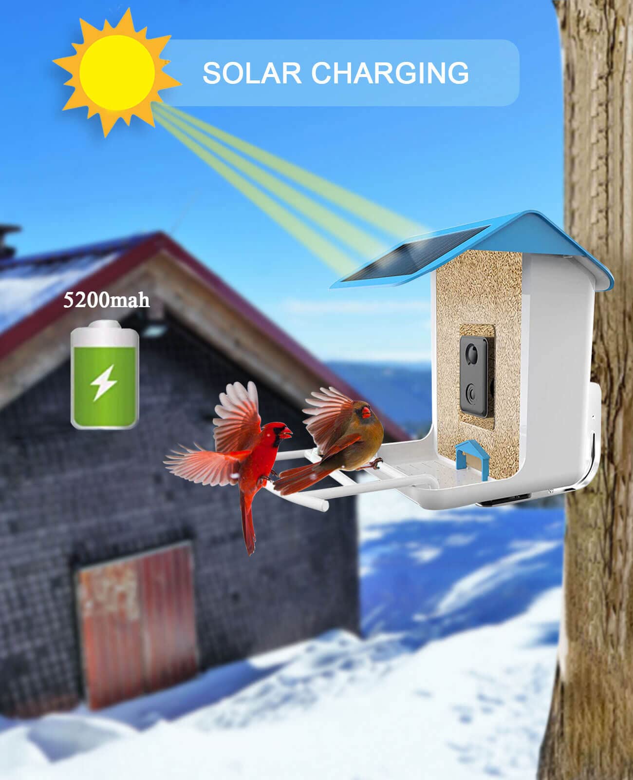 Smart Bird Feeder with Camera Wireless Outdoor, Feeders for Outside, Solar Energy Generation, 1080P HD, APP Connection, IP65 Waterproof, AI Identify Species, Free 64G TF Cards