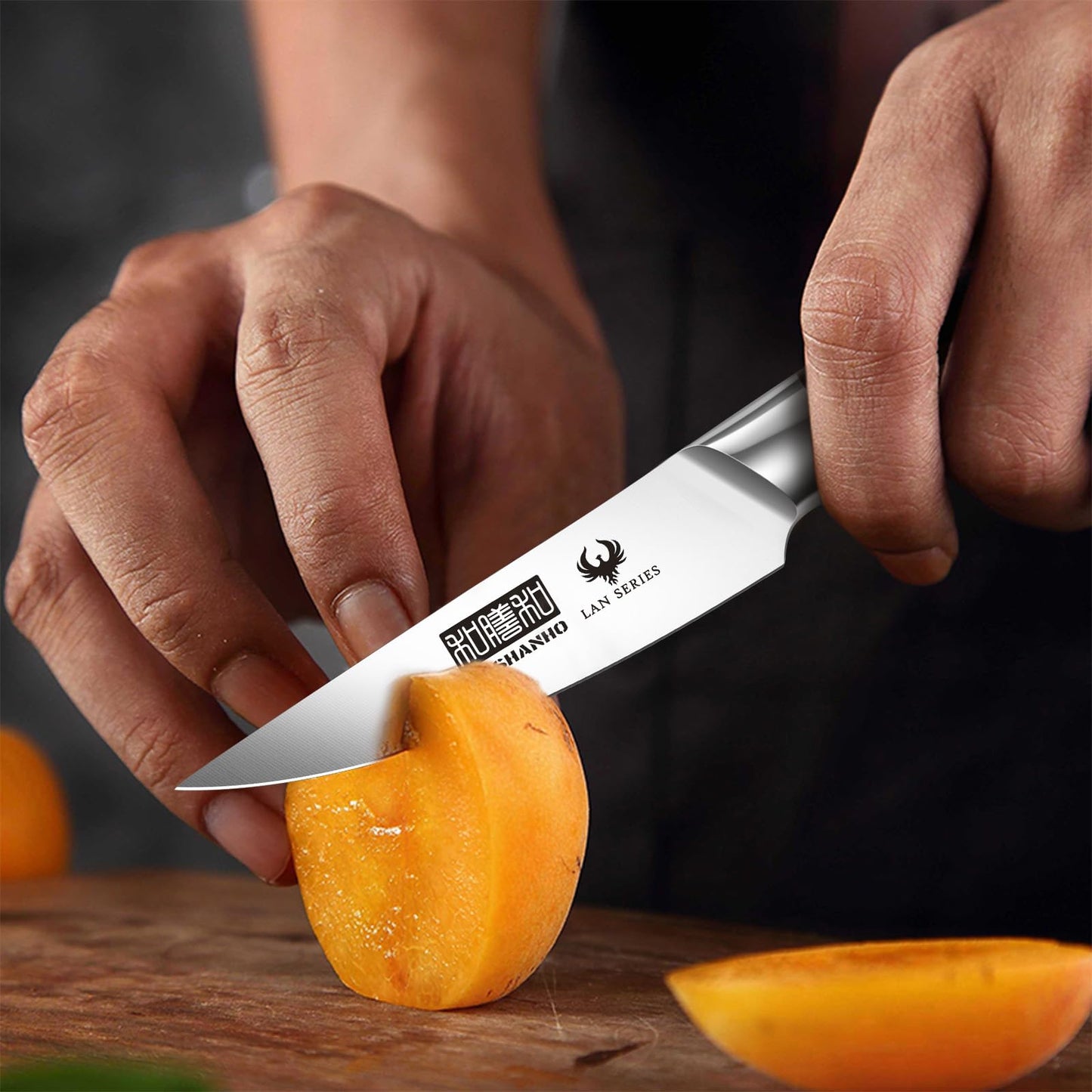 HOSHANHO 3-Piece Kitchen Knife Set, Ultra Sharp Chef/Santoku/Paring Knives,Professional High Carbon Steel Knives with Ergonomic Handle, Ideal Cooking Gift Set