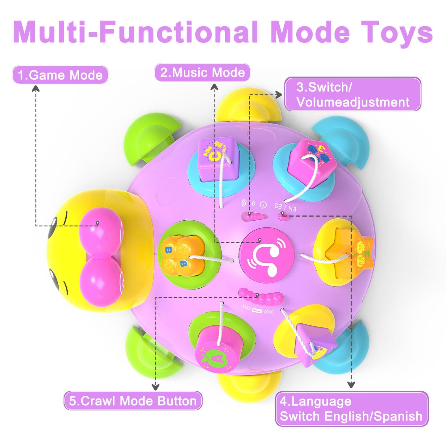 Holaxander Musical Ladybug Baby Toys 6-12 Months, Infant Early Educational Learning Toy for 1+ Year Old Girl, First Birthday Gift Toys for 7 8 9 10 11 Months Newborn Girls (Purple)