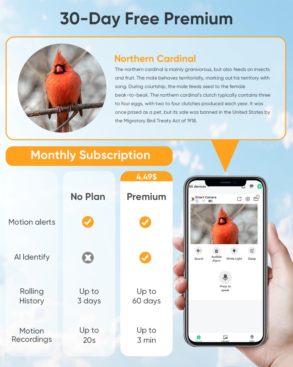 Bird Feeder with Camera Solar Powered : Smart Camera Bird Feeder 2K Live Feed Cam for Outdoor Backyard - Ai Identify Auto Capture Videos Pictures, Gifts for Birdlover Mom Dad, 2.4GHz WiFi