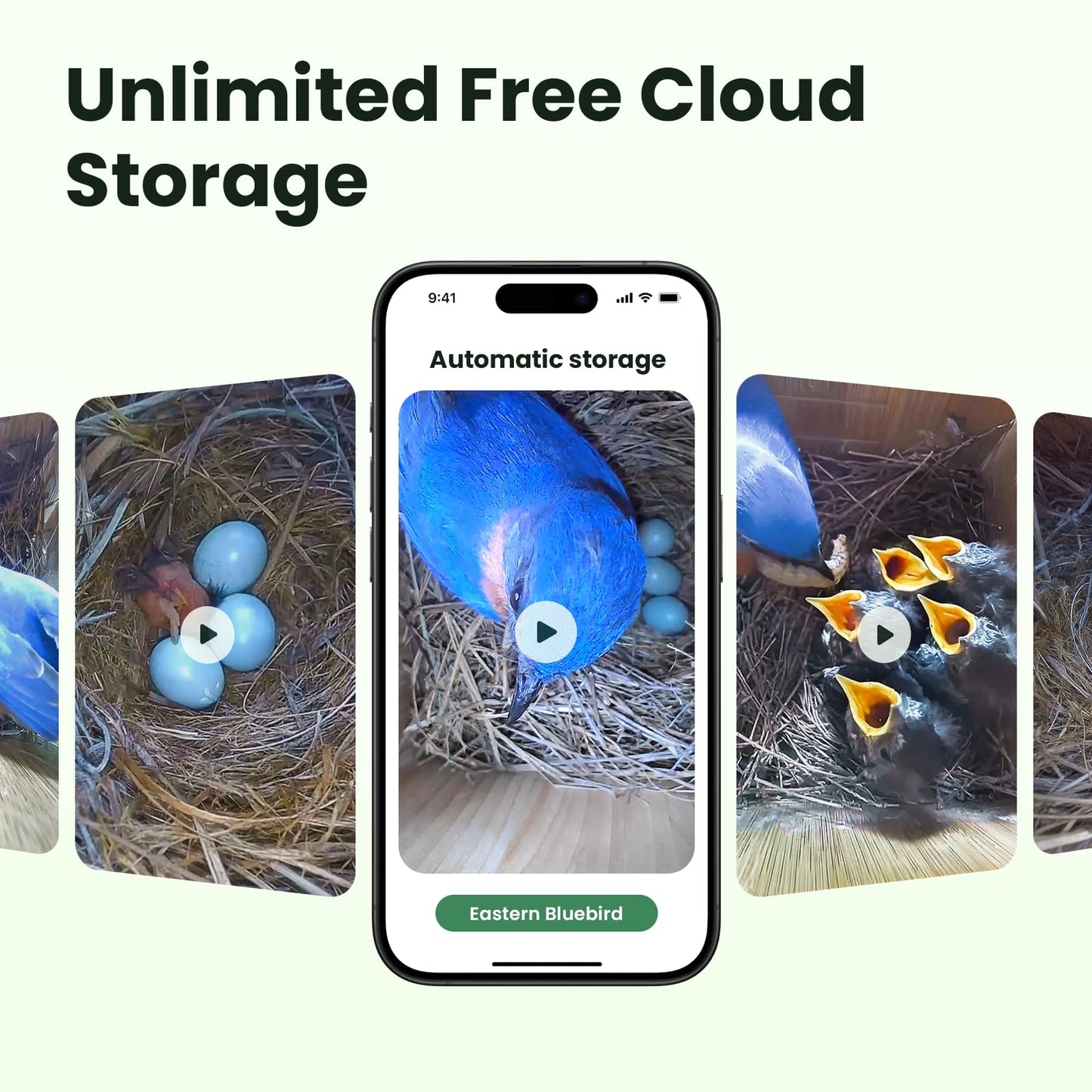 Birdfy Smart Bird House with Camera Solar Powered, 1080HD Live Video & Night Vision for 24/7 Nesting Recording, Auto Detect & Notify, Ideal Nature Gift for Bird Lovers, AI Identify Lifetime Free