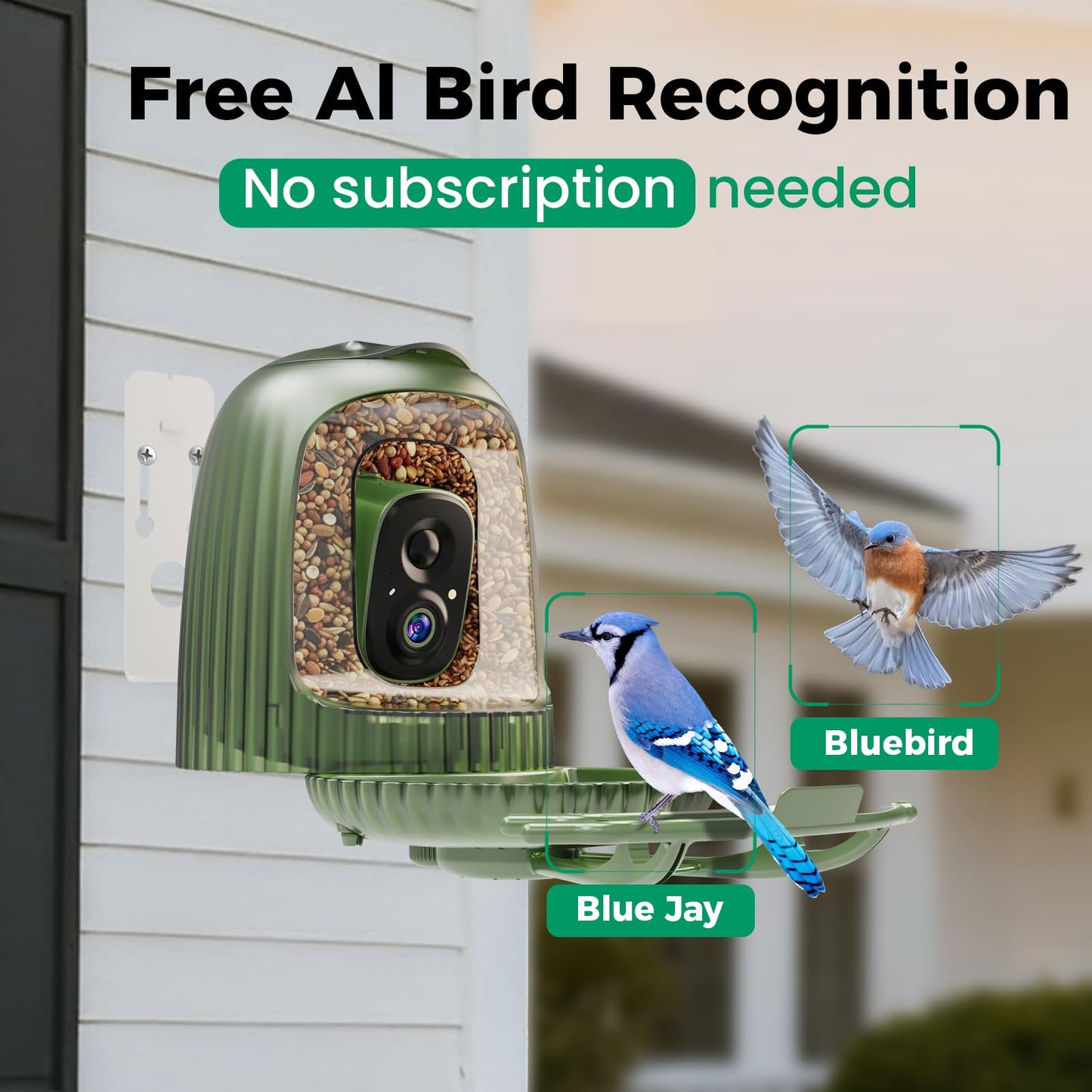 HIXX Smart Bird Feeder with 4MP Camera – Auto Capture Video, AI Bird Identification, Large Capacity & Seed Guard, Solar Powered Night Light, Live Birdwatching Camera for Lovers, Family & Friends