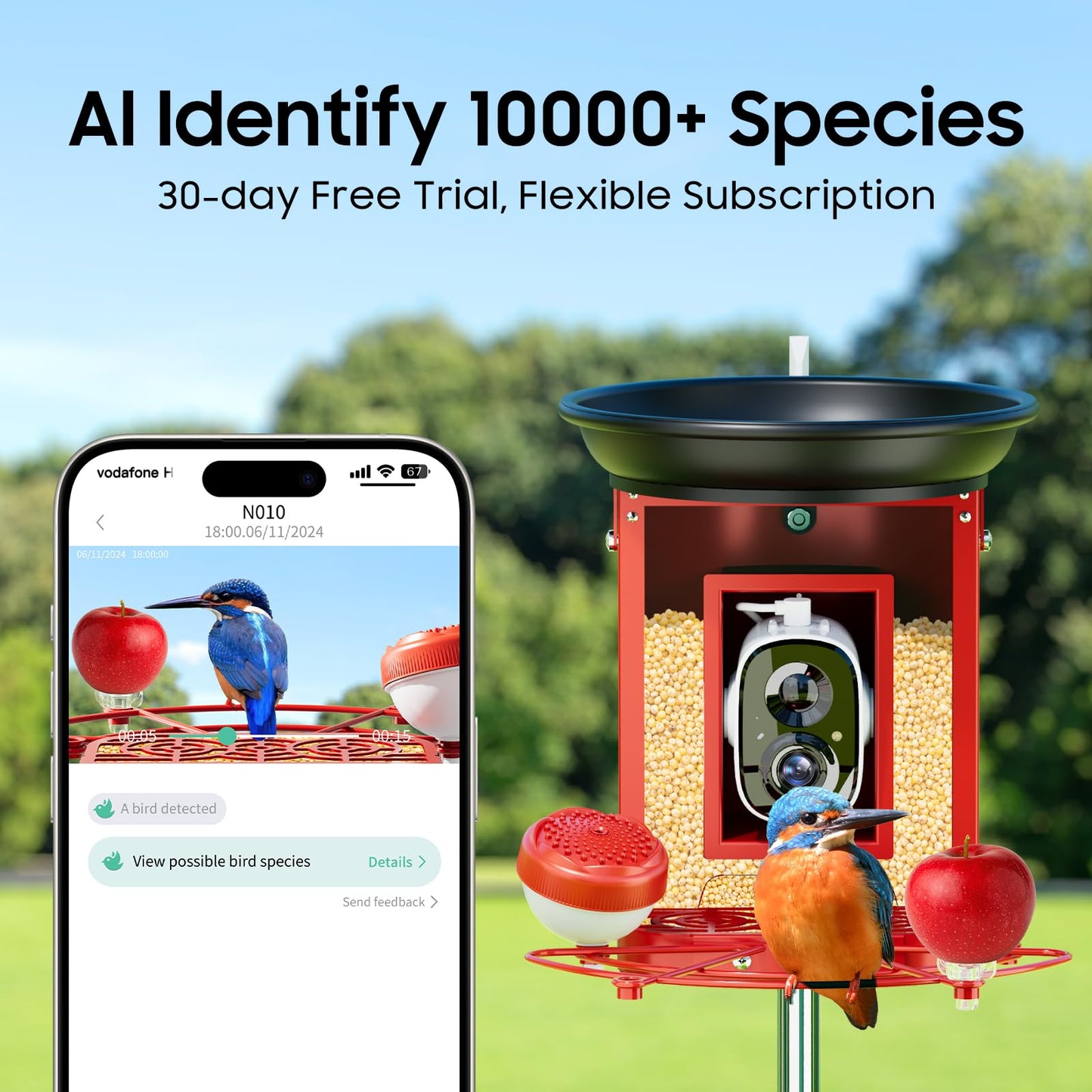 Camii Smart Bird Feeder with 2K HD Camera - Auto Capture & Motion Detection, Solar-Powered, Identifies Bird Species, Live Video with Bath