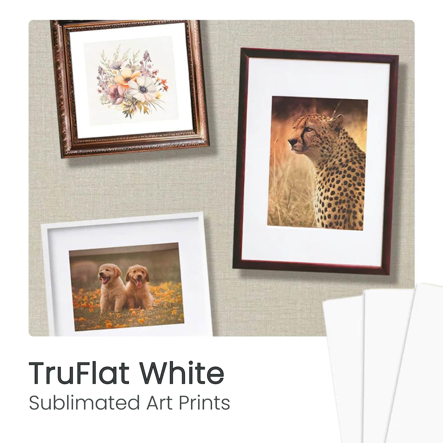 TruFlat 1/8" Pre-Finished Plywood Essentials Pack 12"x19" – 24 Sheets MDF Core Flat Wood Boards for Laser Cutting, Engraving – 6 White, 6 Black, 6 Linen, 6 Paint – Smooth Double-Sided Finish
