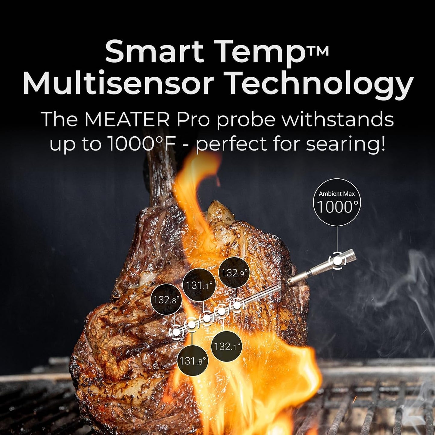 MEATER Pro: Smart Bluetooth Wireless Meat Thermometer Digital | 1000°F Heat Resistance | Long Range | Certified Accuracy | BBQ, Oven, Grill, Smoker, Air Fryer, Deep Fryer