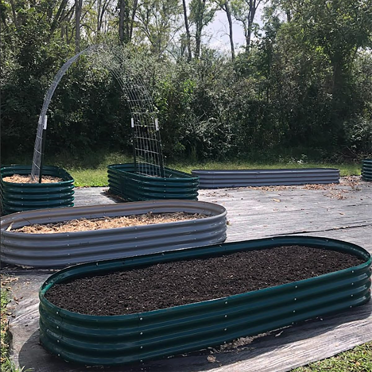 Tramull 6 Pack 8x3x1FT Galvanized Raised Garden Bed Kit Oval Metal Ground Planter Box Outdoor Bottomless Planter Raised Beds for Vegetables Flowers Herbs Fruits, Green