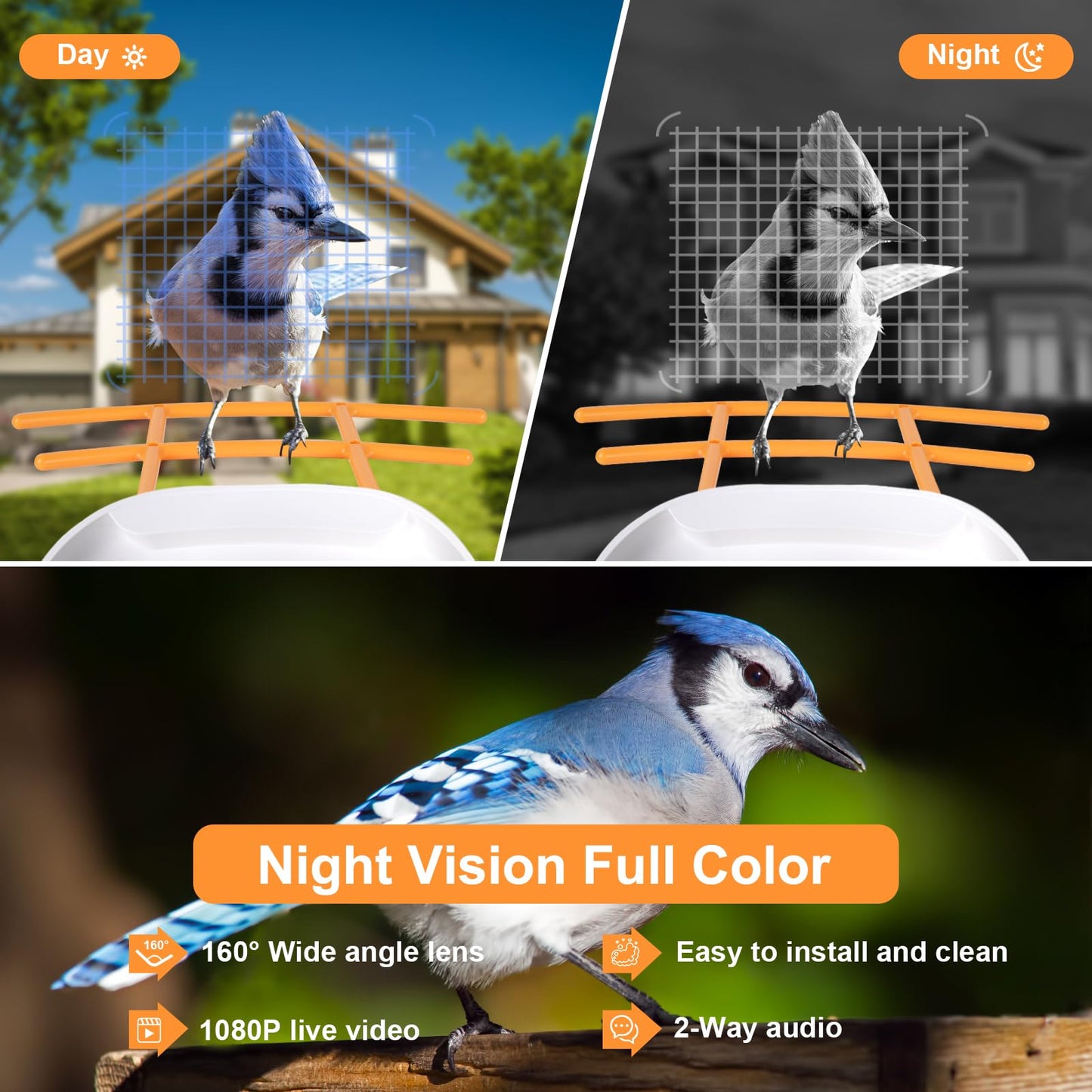 LyteSolar Bird Feeder with Camera,1080P HD,160° Wide Angle,AI Recognition, 1.8L Capacity 32G SD Card, Solar Powered, 50Pcs DIY Bird Stickers for Outdoor Garden