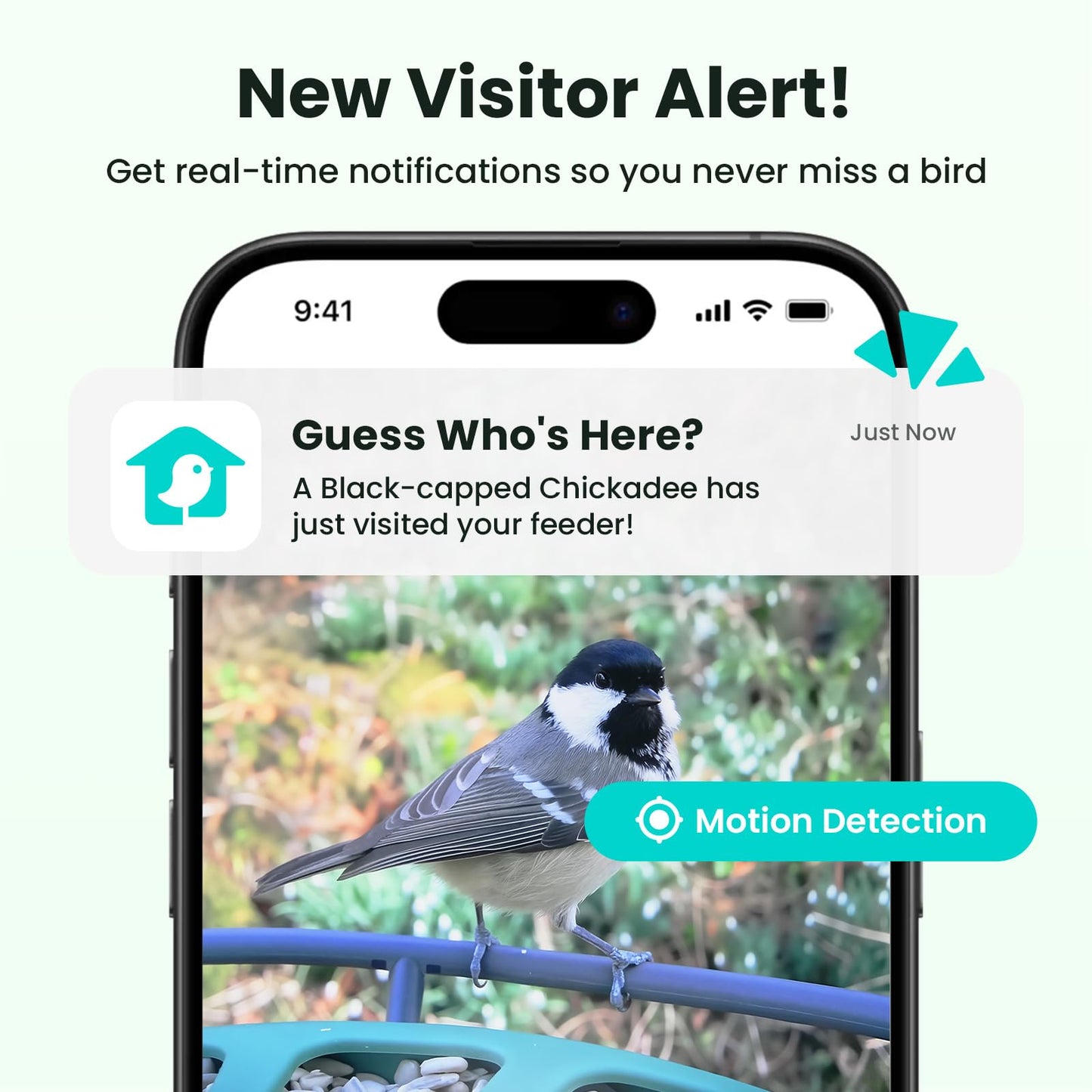 Birdfy 2 Smart Bird Feeder with Camera, AI Identifies Bird Species, Dual-Lens 2K Camera for Live Streaming & Close-Up Photos, Solar-Powered Backyard Birdwatching Gift