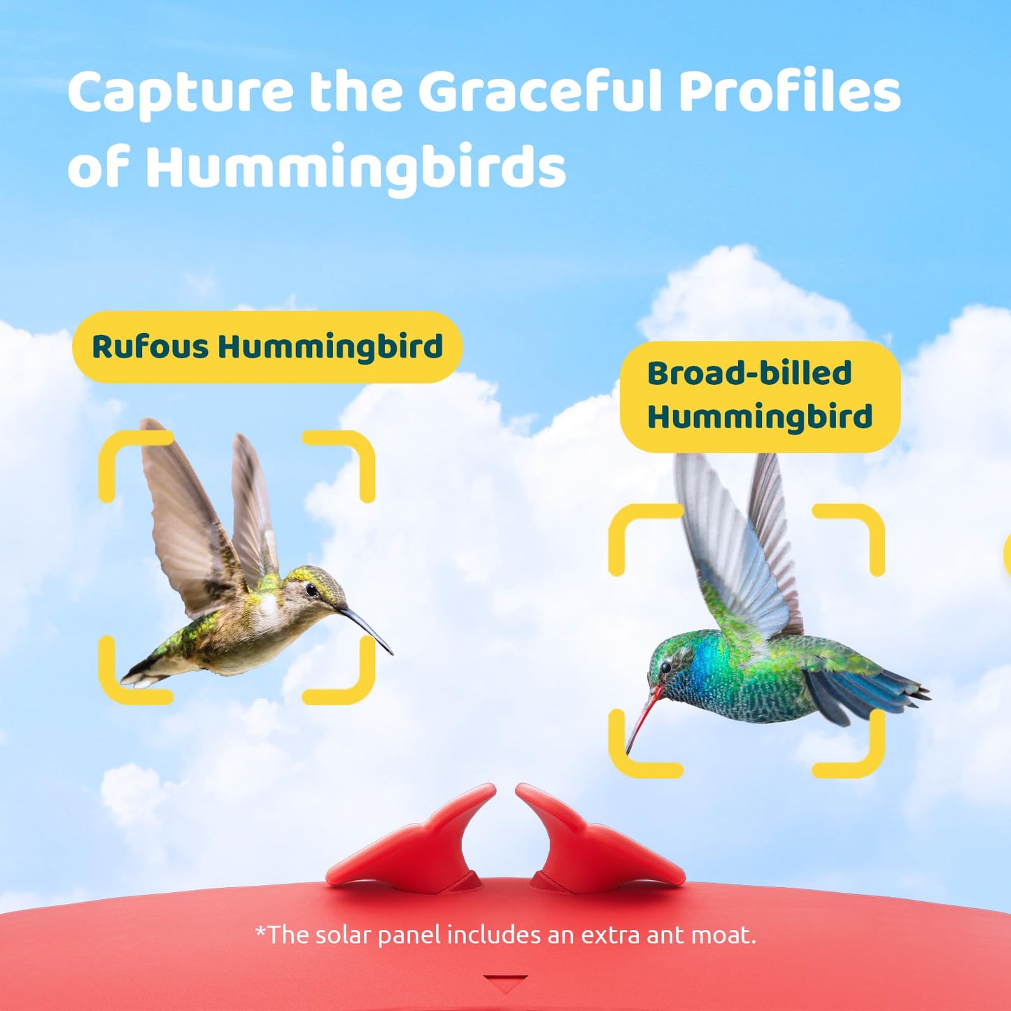 Birdfy Smart Hummingbird Feeder with Camera for Outdoor Hanging, Wireless Bird Watching Camera Auto-Capture Motion Video & Send Instant Alerts, Battery-Powered, Ant and Bee Proof, Leak-Proof, 14 Oz