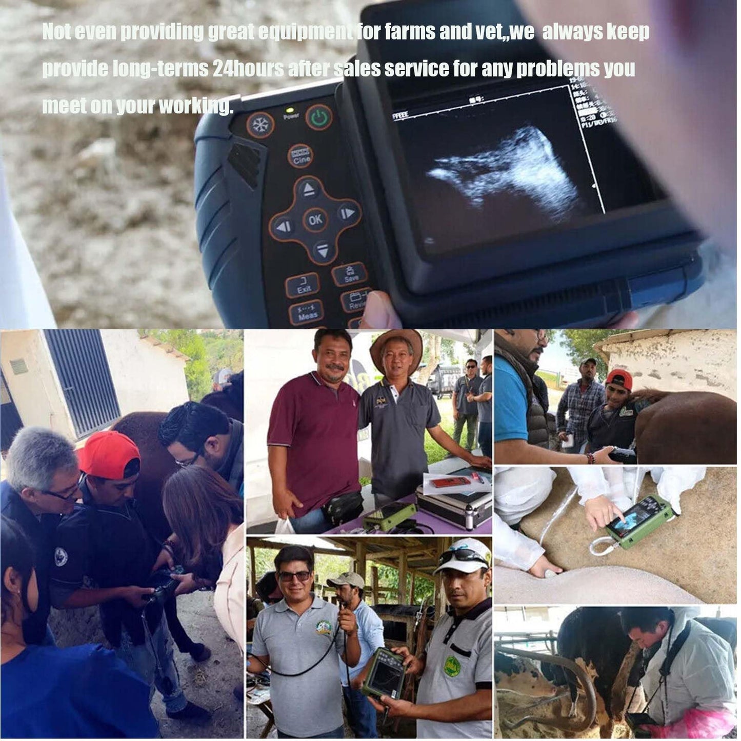DAWEIanimed DAWEI Professional Vet Ultrasound Machine Portable Veterinary Handheld Scanner B-Ultra Sound with 3.5MHz Probe for Pig,Sheep, Goat, Dog use