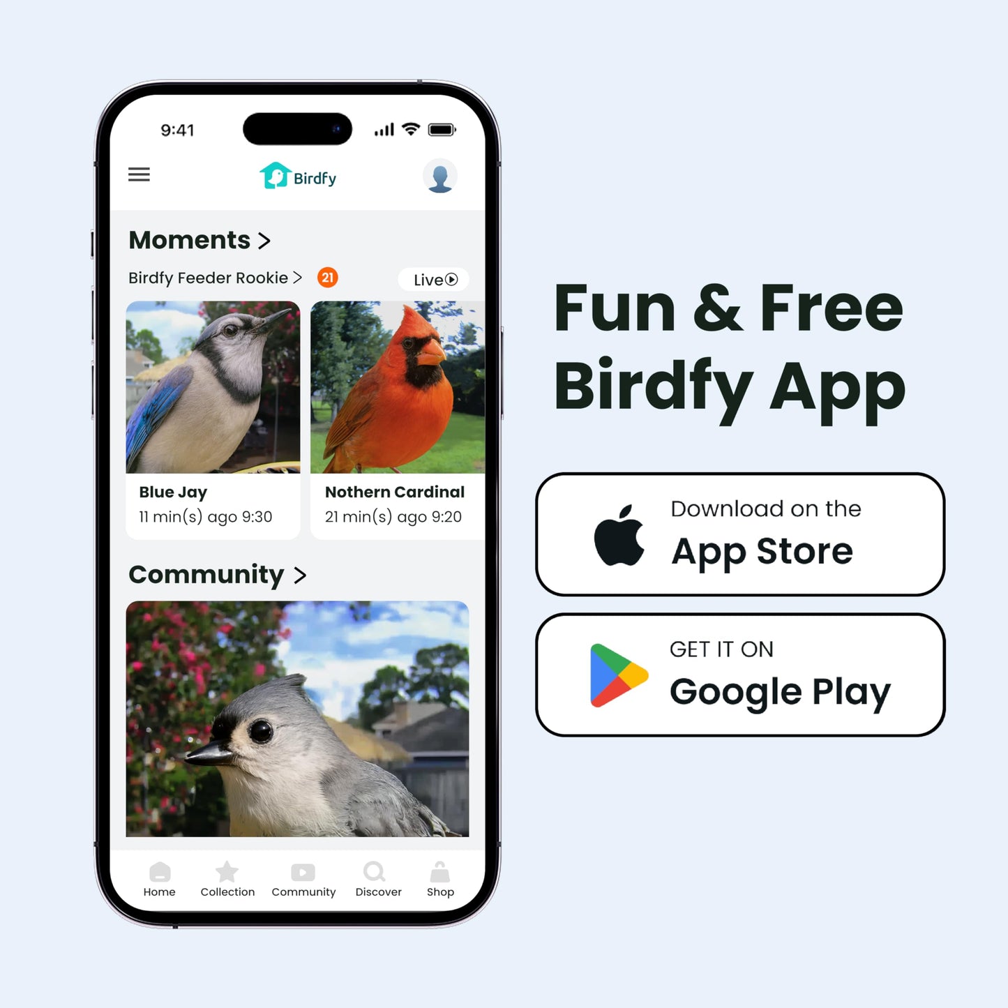 Birdfy Bird Feeder with Camera for Rookie - Solar Powered Outdoor Bird Feeder with Dual Night Vision, AI Recognition, Slow Motion & IP66 Waterproof, Ideal for BirdLovers (Lifetime Free AI)