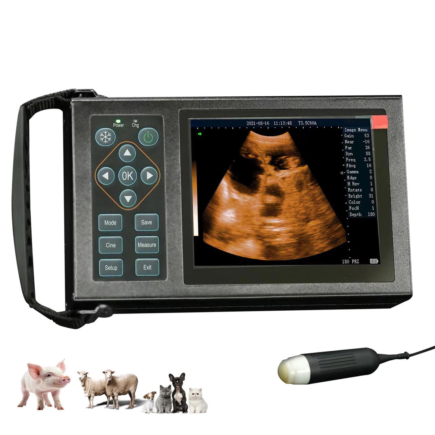 Veterinary Ultrasound Machine Ruisheng M10, Aluminum Alloy Designed with 3.5 MHz Probe for Dog Kennels, Pig Farm and Sheep Farm Pregnancy Check, Rechargeable+ Carrying case, Friendly to Beginners