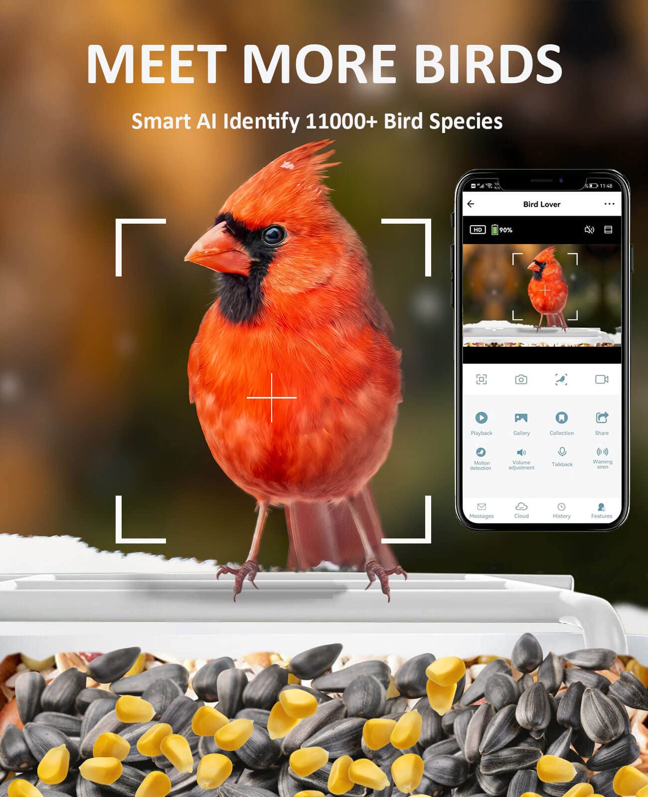 Smart Bird Feeder with Camera Wireless Outdoor, Feeders for Outside, Solar Energy Generation, 1080P HD, APP Connection, IP65 Waterproof, AI Identify Species, Free 64G TF Cards