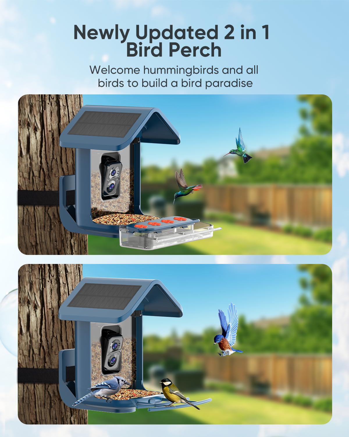 Bird Feeder with Camera Solar Powered : Smart Camera Bird Feeder 2K Live Feed Cam for Outdoor Backyard - Ai Identify Auto Capture Videos Pictures, Gifts for Birdlover Mom Dad, 2.5GHz WiFi