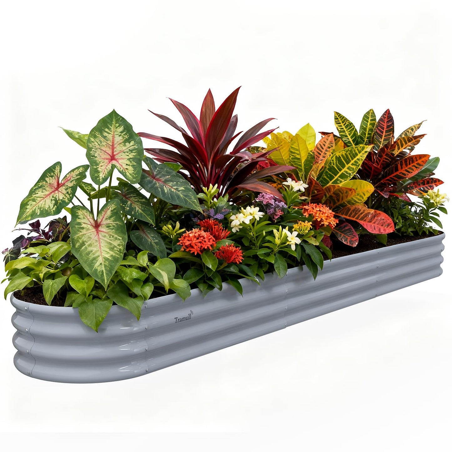 Tramull Galvanized Raised Garden Bed Kit - 12×2×1ft Oval Large Metal Planter Box with Easy Tool-Free Assembly for Vegetable Flower Herb, Outdoor Backyard, Patio, Kitchen Garden Family-Friendly (Gray)