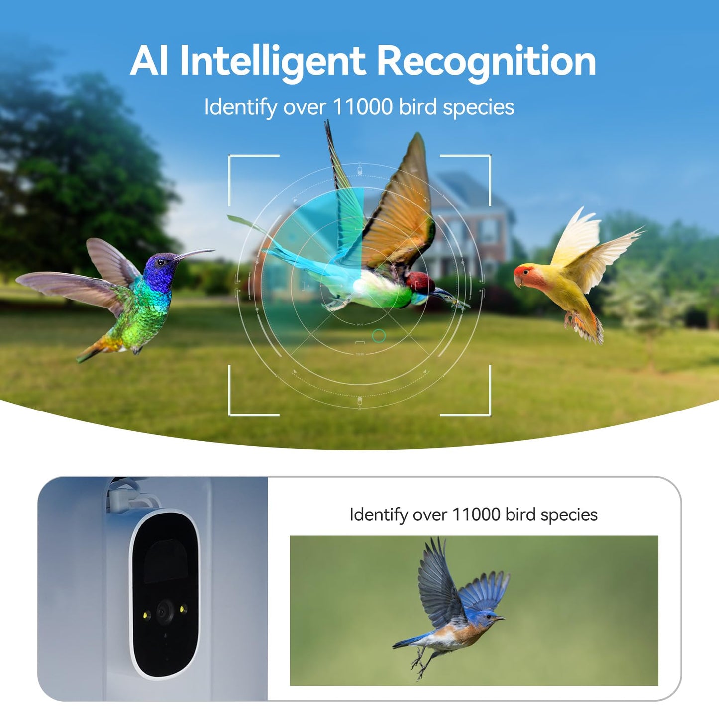 SVBONY SC101 Smart Bird Feeder with HD Camera, AI Bird Identification,High Resolution, Live Stream via WiFi, Auto Capture Videos,Weatherproof, Outdoor Backyard Feeder