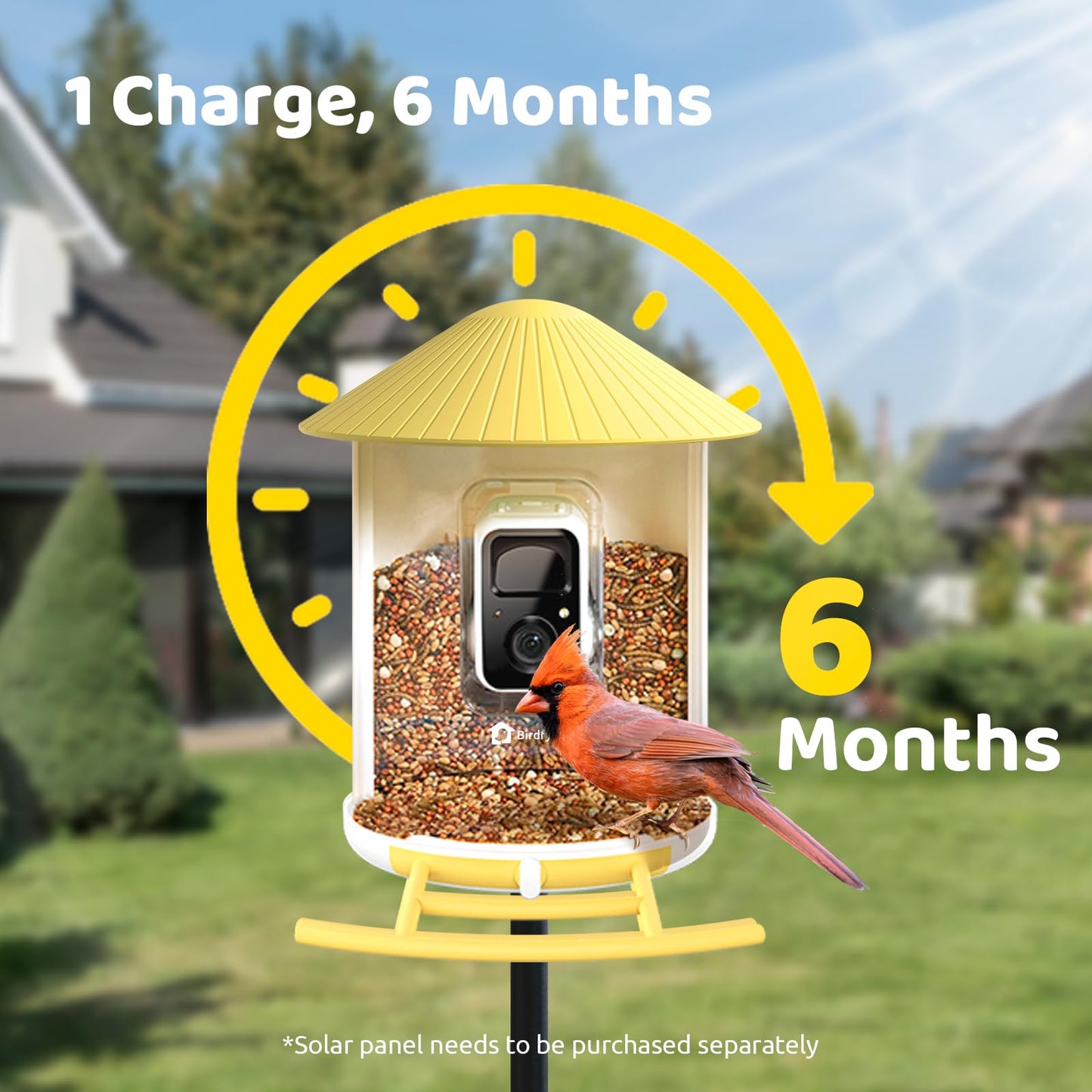 NETVUE by Birdfy Smart Bird Feeder with Camera & Shield