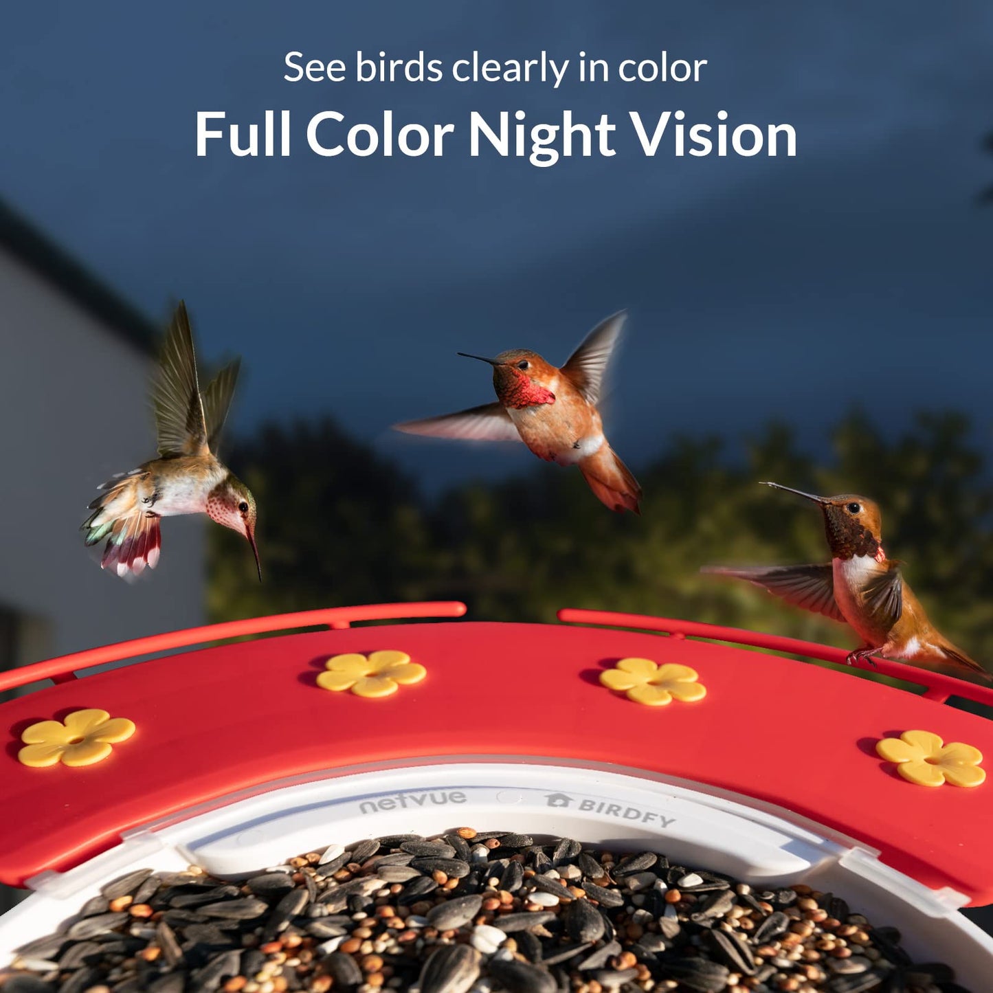 NETVUE Birdfy Camera with Birdfy Hummee Camera, Smart Bird Feeder with Camera, Auto Capture Bird Videos & Birdwatching Up-Close, 2in1 Feeders Attract More Hummingbirds, Ideal Gift