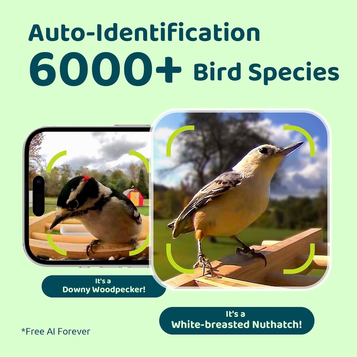 Birdfy Smart Bird Feeder with Camera, High-End Bamboo, Solar Powered Bird-Feeder with 2K Camera for Live Stream&Permanent AI Identifies Birds with Motion Detection,Ideal for Mom,Gran&Me