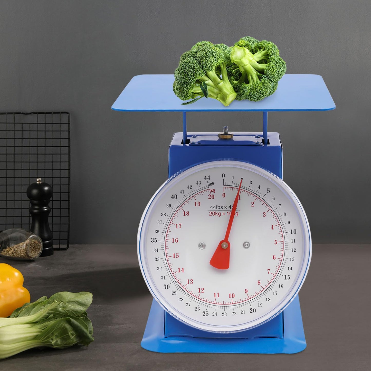 220lbs/100kg Mechanical Kitchen Scale, Mechanical Dial Scale with 13 x 13 Inch Weighing Pan, Heavy Duty Analog Dial Scale for Supermarkets Food Markets and Snack Shops