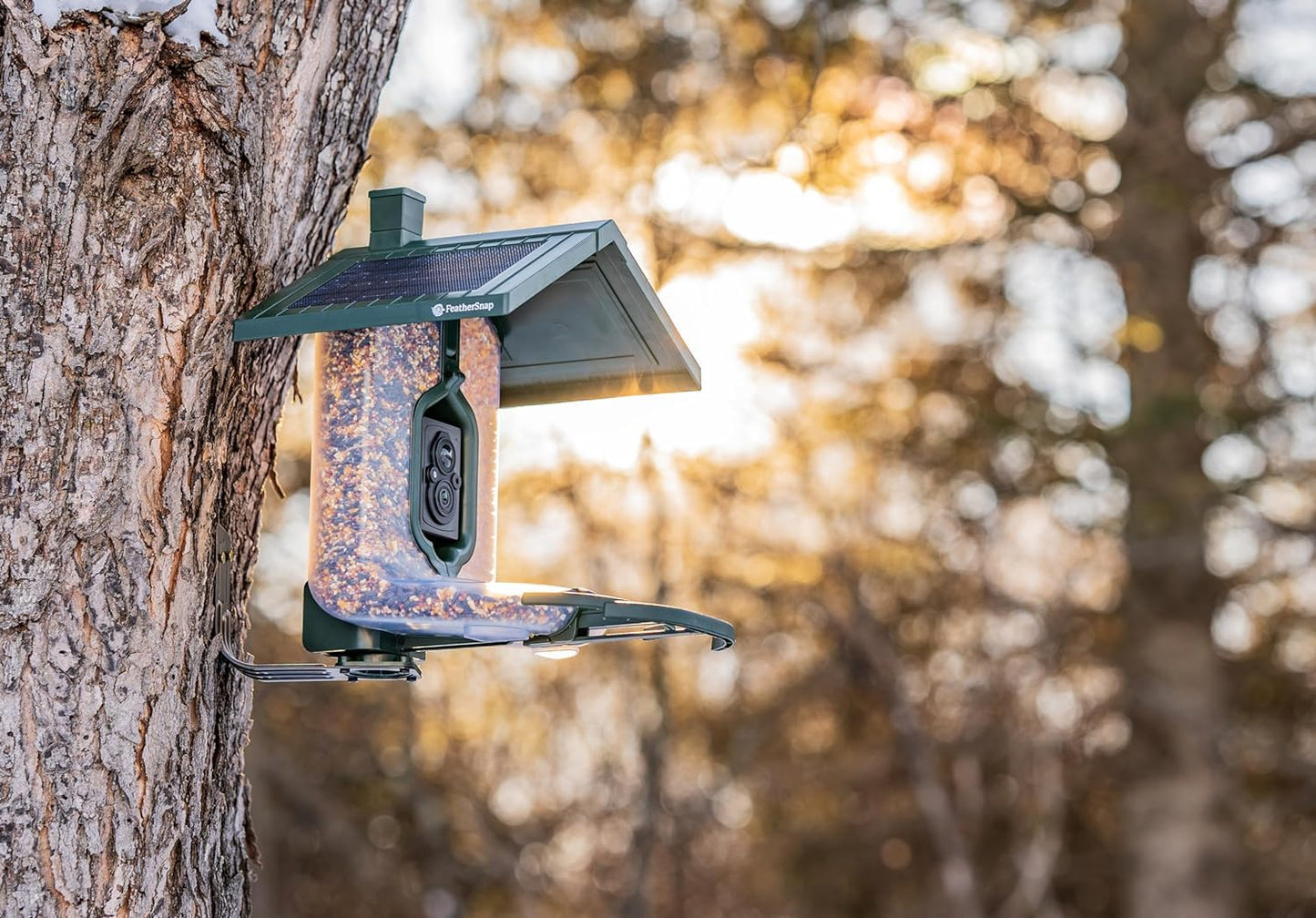 Feathersnap Smart Birdfeeder with AI Identification and Wi-Fi Solar Powered, Captures HD Pictures and Videos Sent Directly to Your Phone (Bird Feeder & Pole)