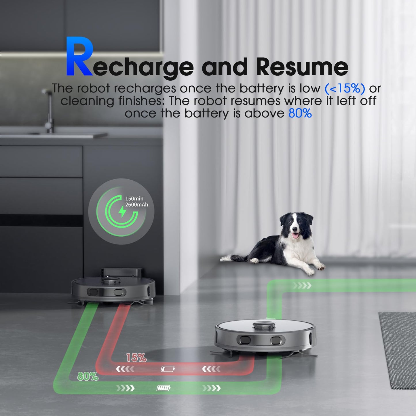 Robot Vacuum and Mop, Mapping Robotic Vacuums Cleaner with LiDAR Navigation Smart & Strong Suction, WiFi/App/Alexa/Voice Control, Obstacle Avoidance, for Home, Wood/Hard Floors, Pet Hair -Gray